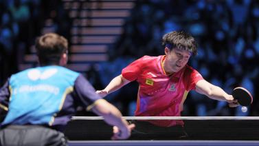 并不是所有 并不是所有